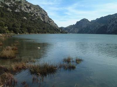 DSCF0110.JPG